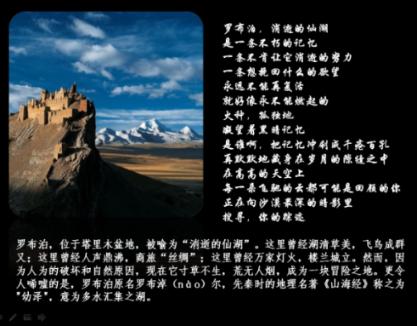 救援达尔马提亚狗